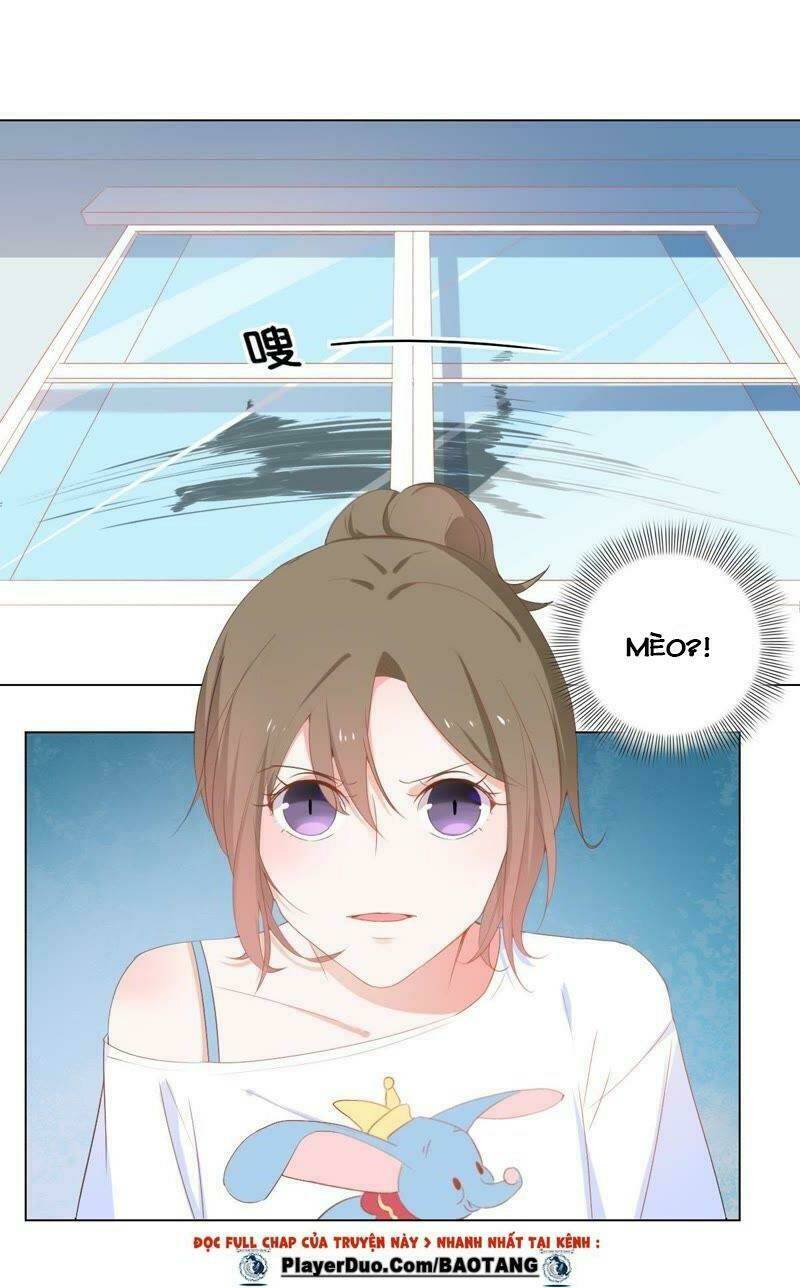 Thập Nhị Hắc Miêu: Chapter 2