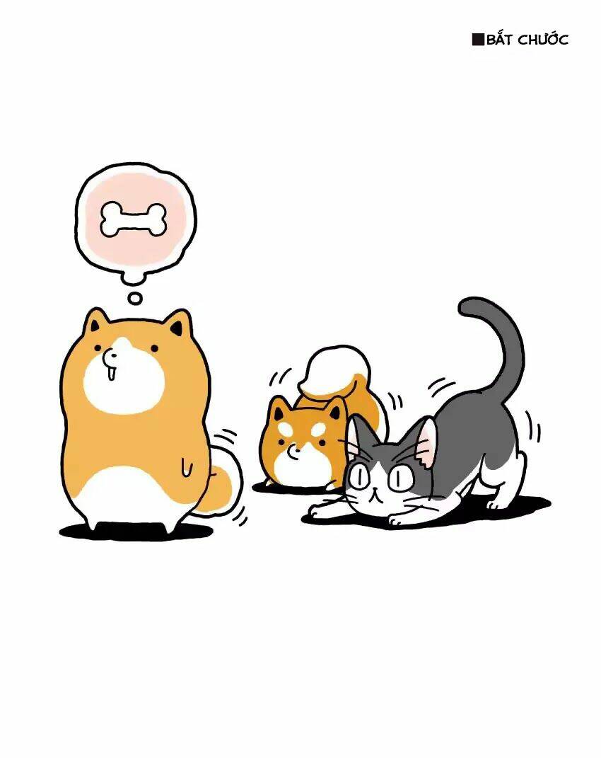 Taru Shiba: Chapter 4