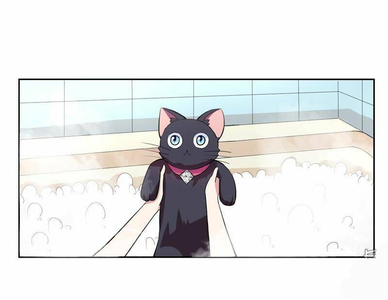 Miêu Vương Tại Thượng: Chapter 1