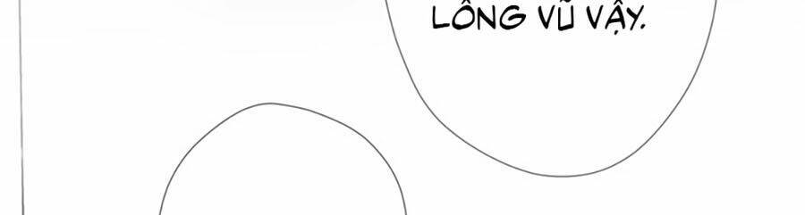 Quang Chi Vũ: Chapter 1