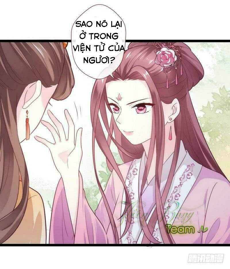 Vương Phi - Âm Động Thiên Hạ: Chapter 28