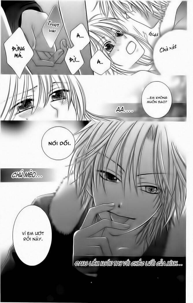 My Dear Cat: Chapter 1