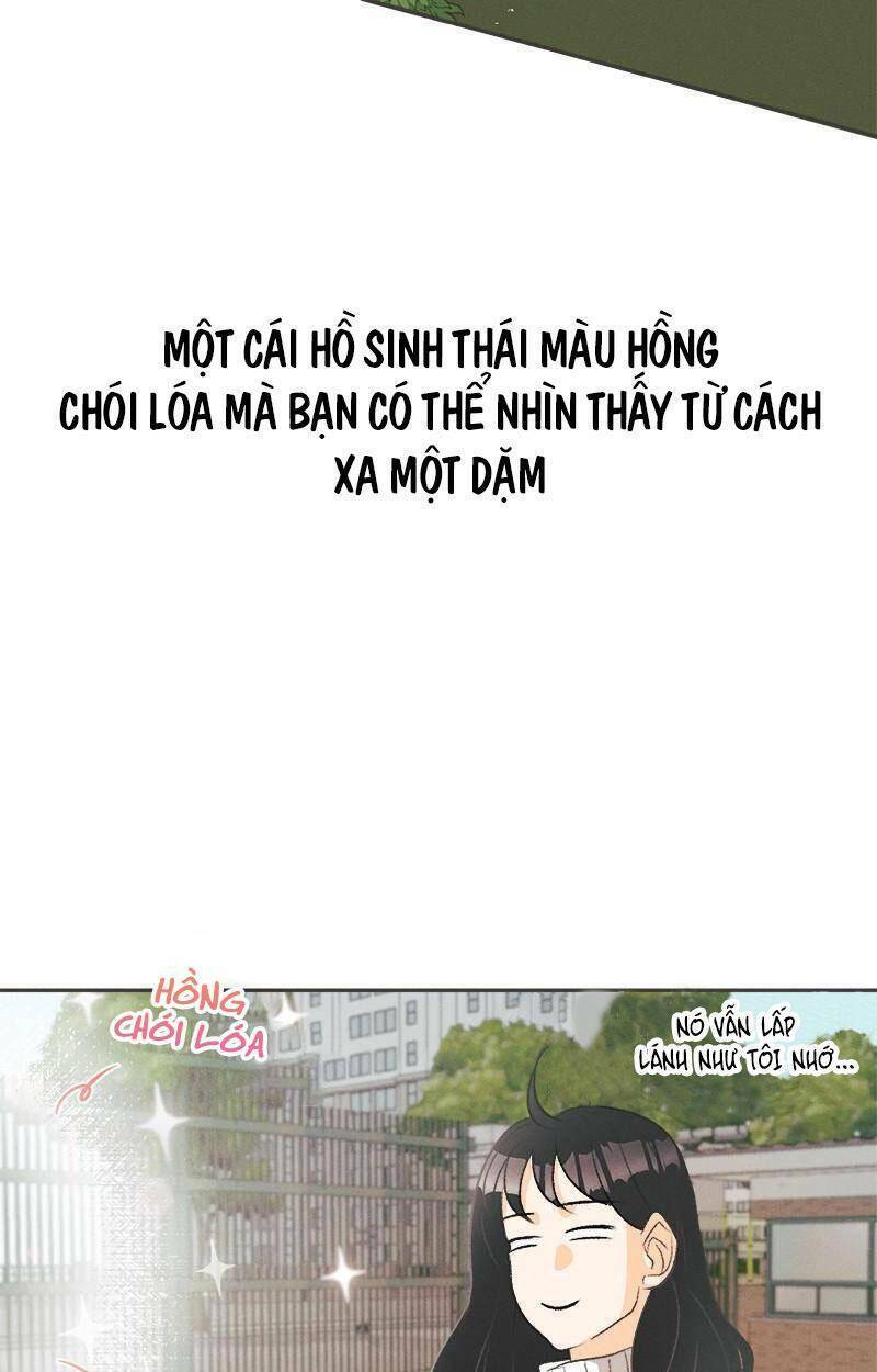 Giấc Mộng Đêm Hè: Chapter 1.1