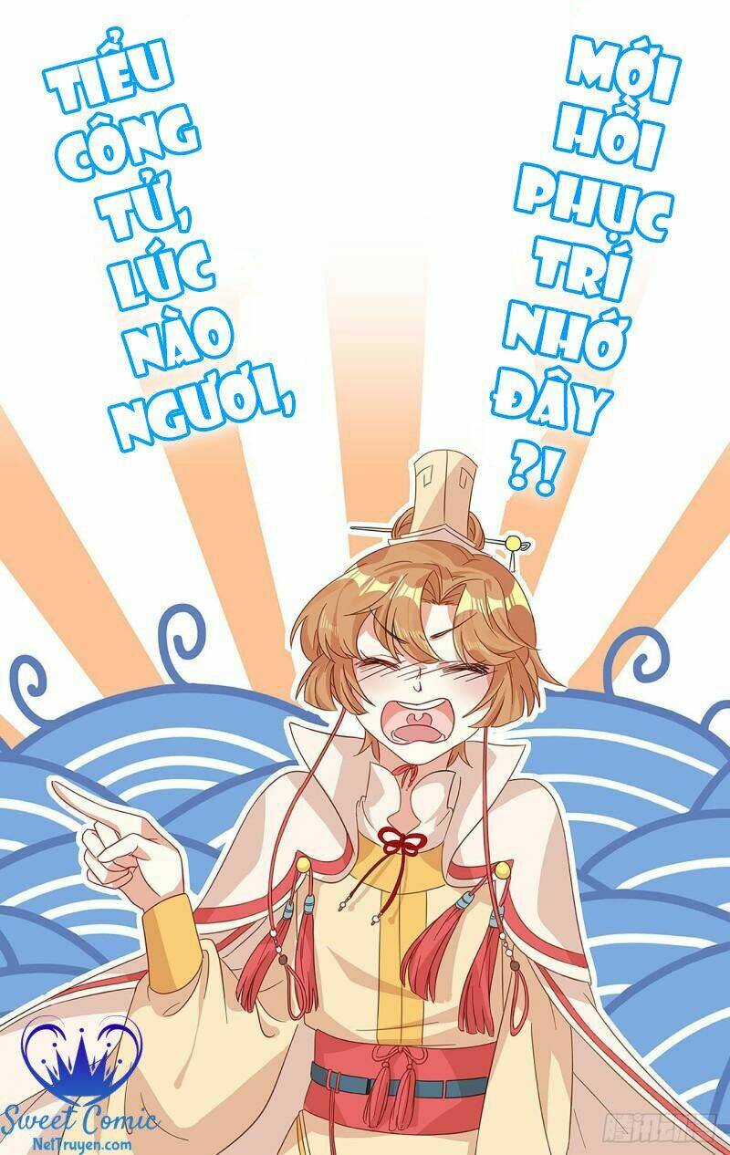 Học Viện Kiêu Ngạo Hoàng Gia: Chapter 0