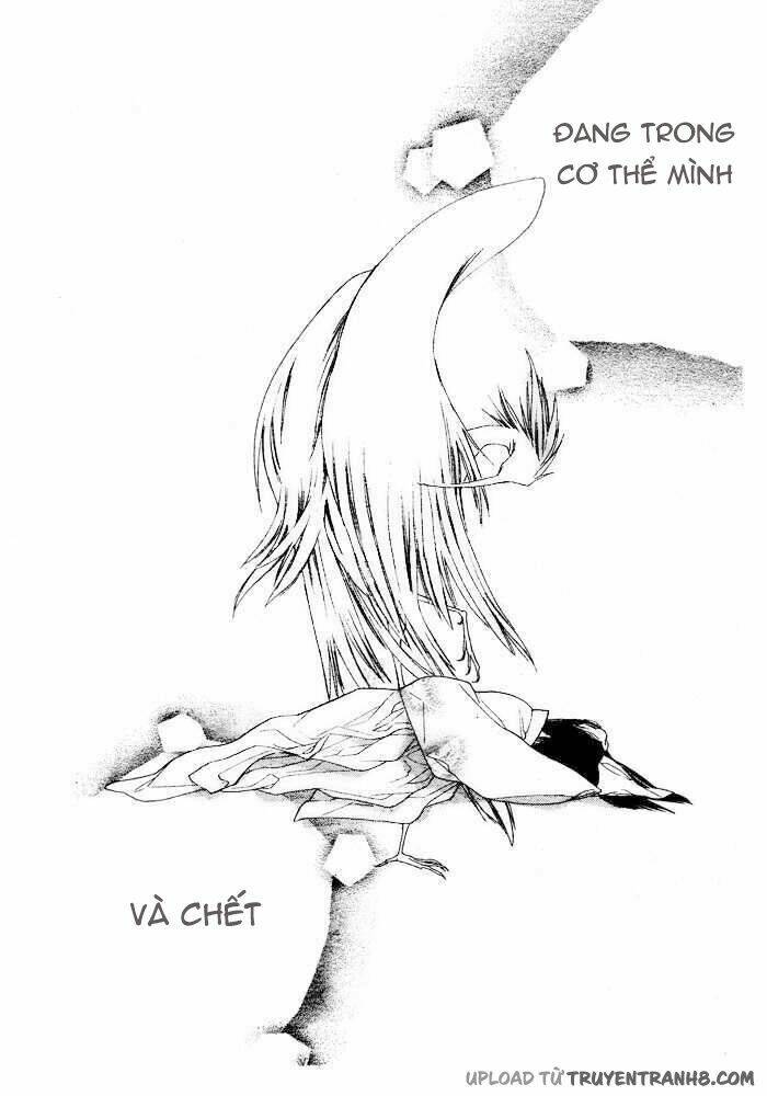 Orange Chocolate: Chapter 3