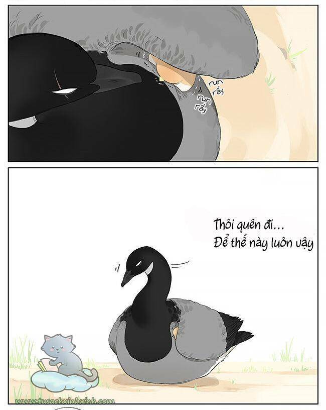 Chim Sẻ Gọi Ngỗng Trời: Chapter 9