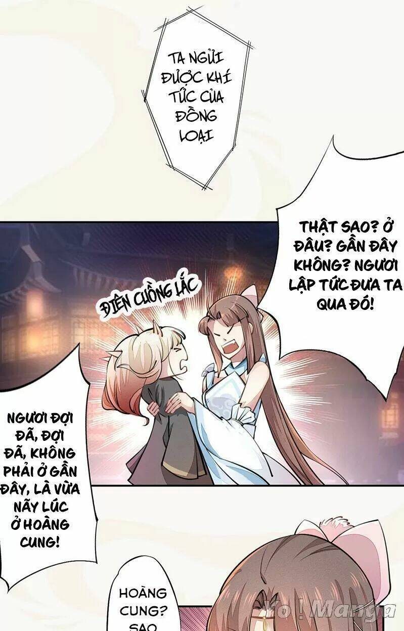 Tuyệt Thế Luyện Đan Sư: Chapter 42