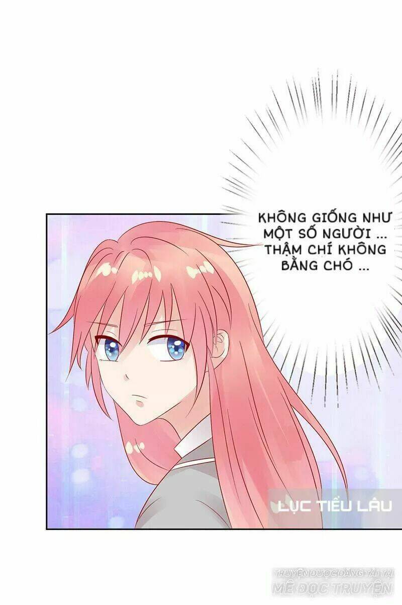 Băng Sơn Học Trưởng Không Được Chọc: Chapter 8