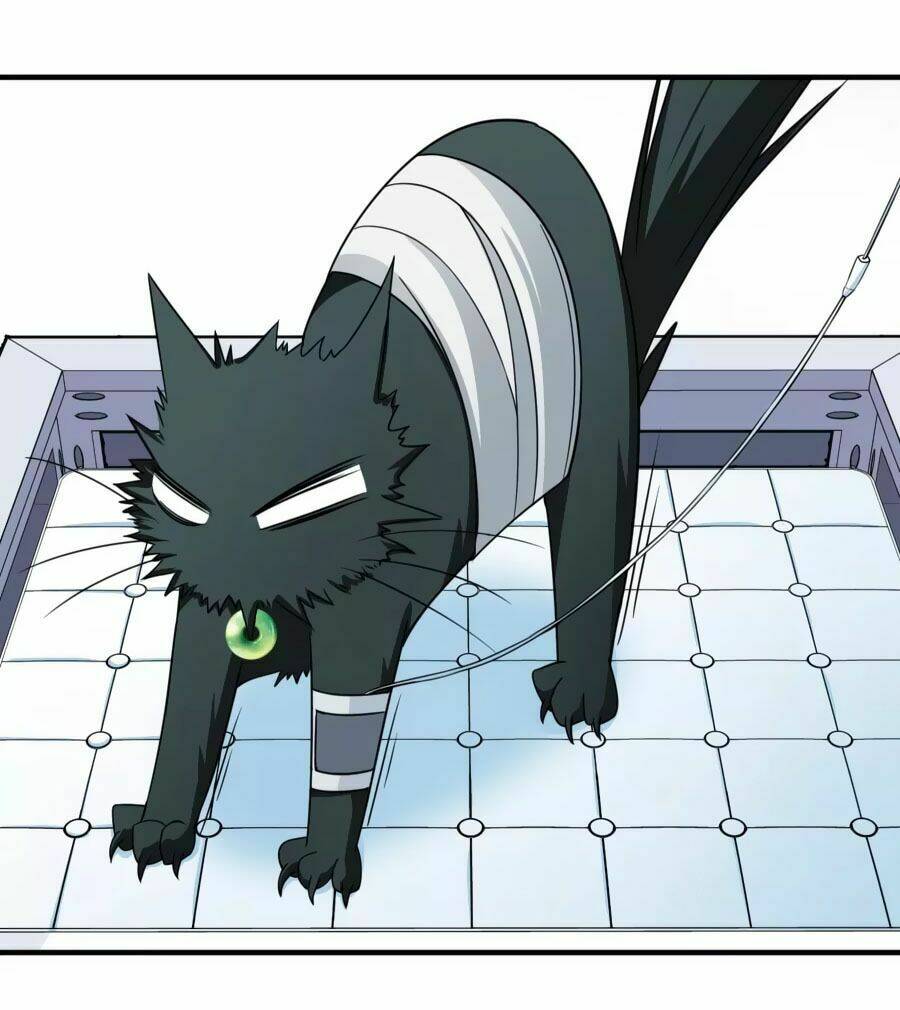 Huyền Vũ Luyến Ca: Vạn Vật Sinh Linh: Chapter 36