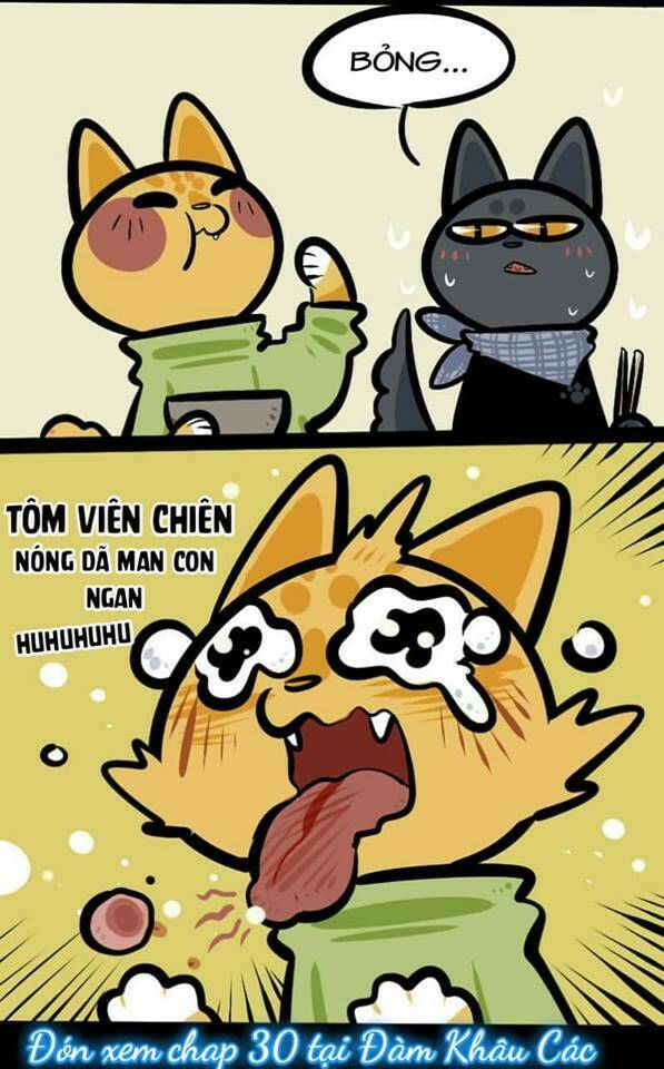 Đời Không Như Mình Tưởng: Chapter 29