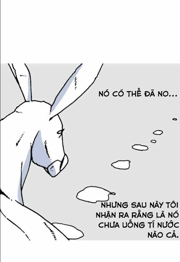 Mắc Kẹt Trên Mặt Trăng: Chapter 11