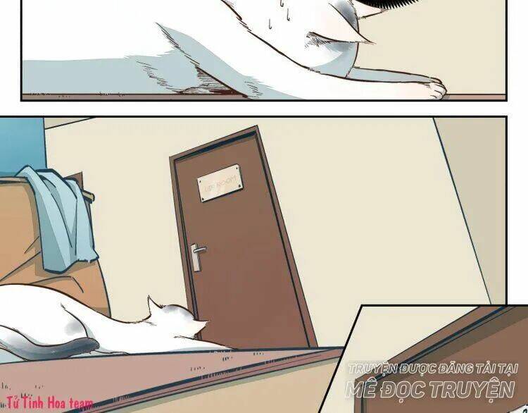 Thời Khắc Ấy, Chúng Ta Gặp Nhau: Chapter 16