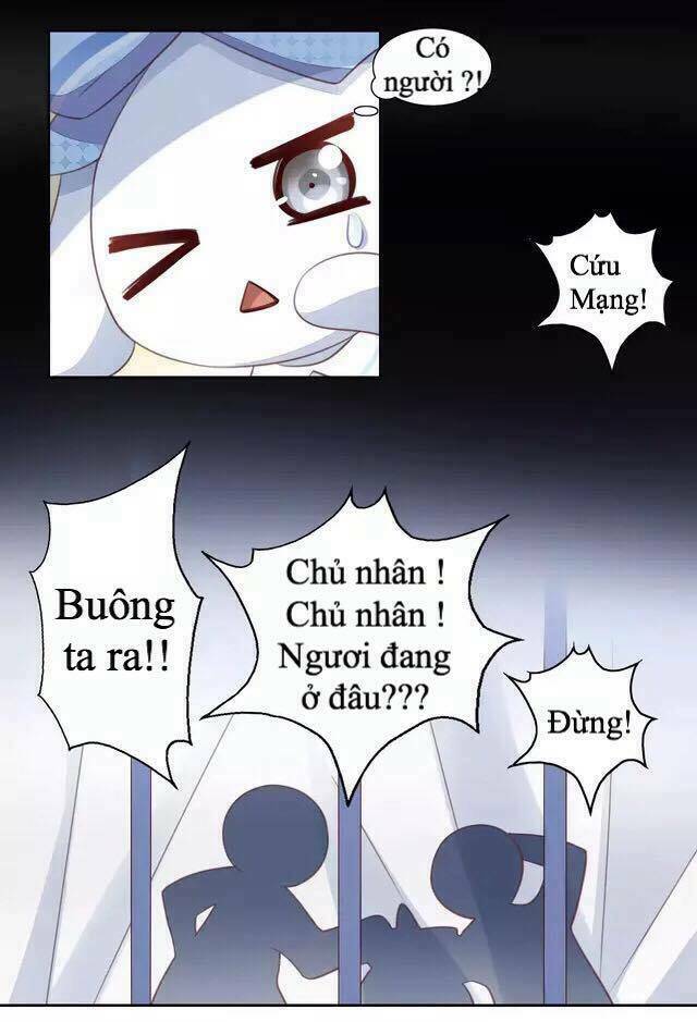 Dưới Móng Vuốt Mèo: Chapter 14
