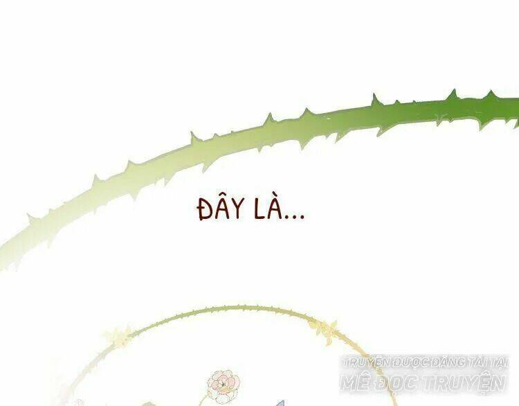 Thuần Trắng Vận Mệnh Chi Luân: Chapter 4