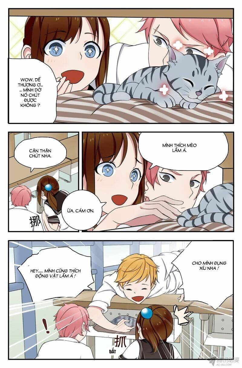 Hoán Đổi Tình Duyên: Chapter 4