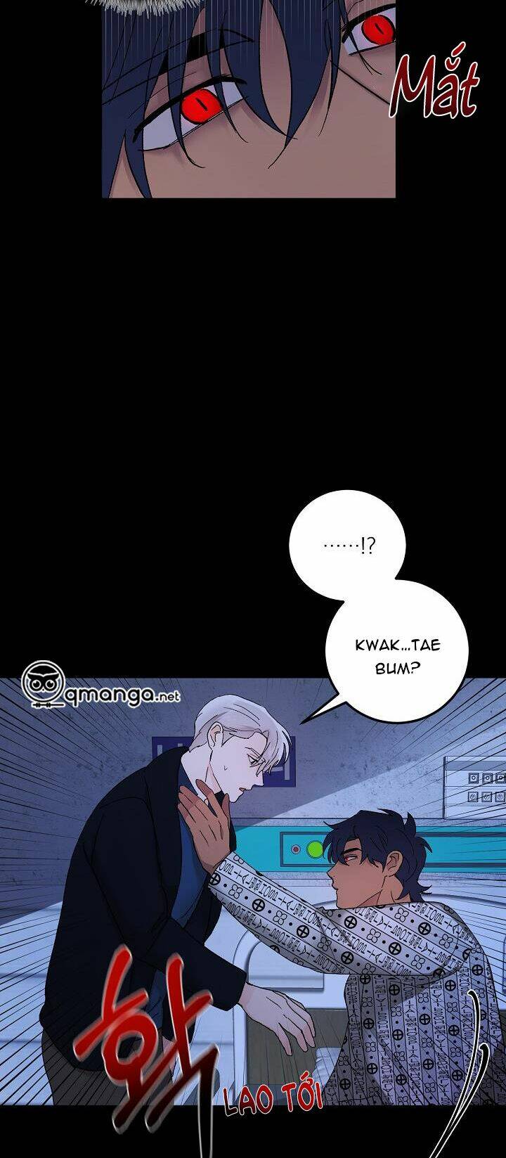 Kẻ Cắp Mặt Trăng: Chapter 42