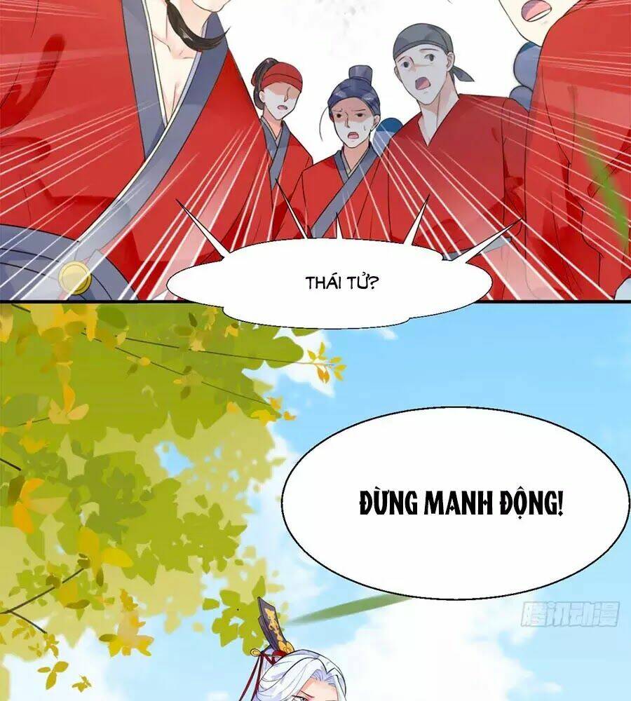 Tang Lạc Túy Tại Nam Phong Lý: Chapter 1