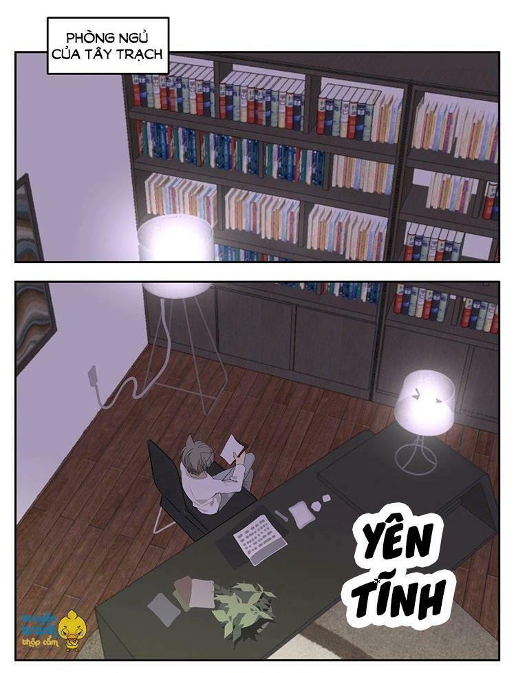 Cứu mạng ! Loài mèo thống trị thế giới rồi !: Chapter 18