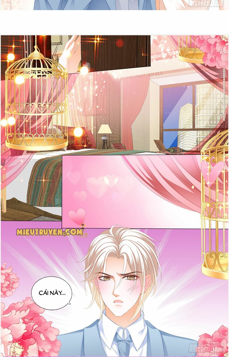 Thiểm Hôn Kiều Thê: Chapter 248
