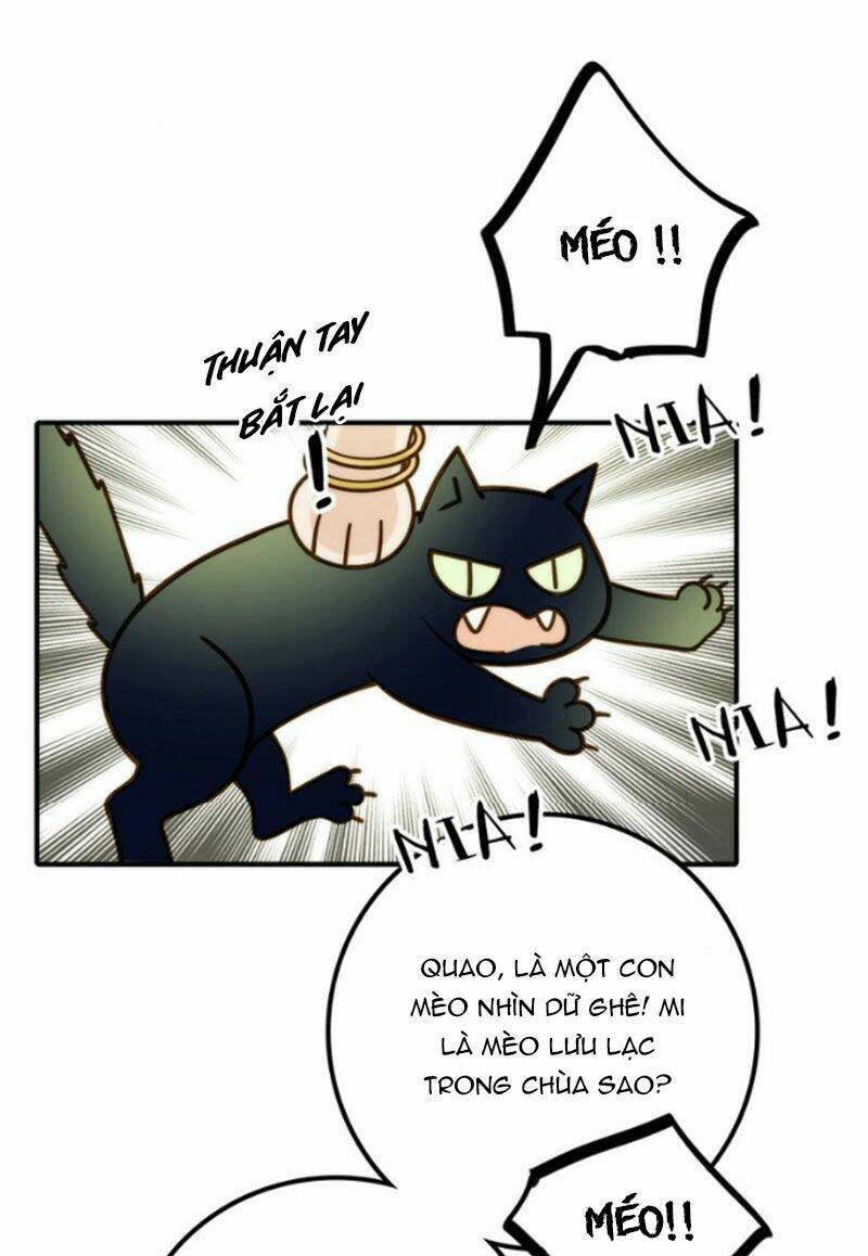 Cướp Chàng Vợ Về Đón Năm Mới: Chapter 34