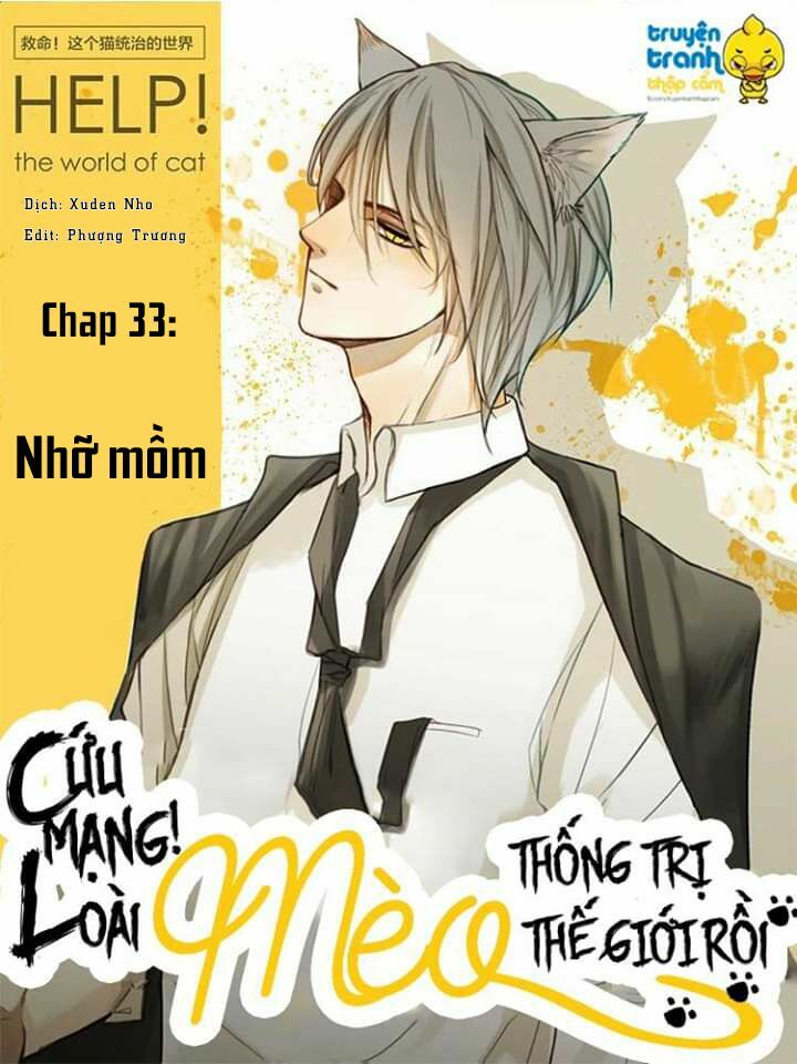 Cứu mạng ! Loài mèo thống trị thế giới rồi !: Chapter 33