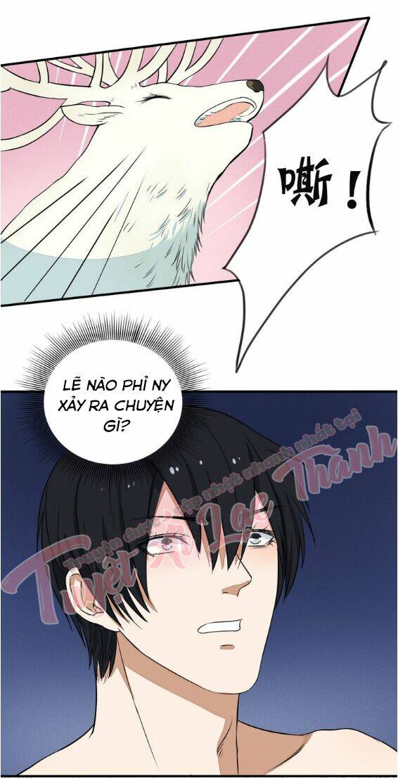 Nụ Hôn Hắc Vũ: Chapter 28