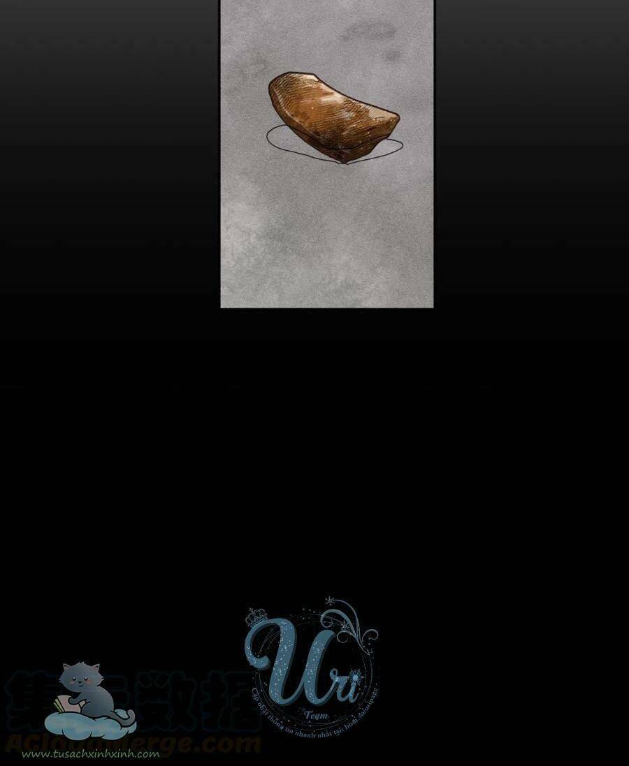 Nhật Ký Nấm Ma Cô: Chapter 8