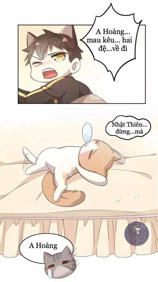 Dưới Móng Vuốt Mèo: Chapter 19