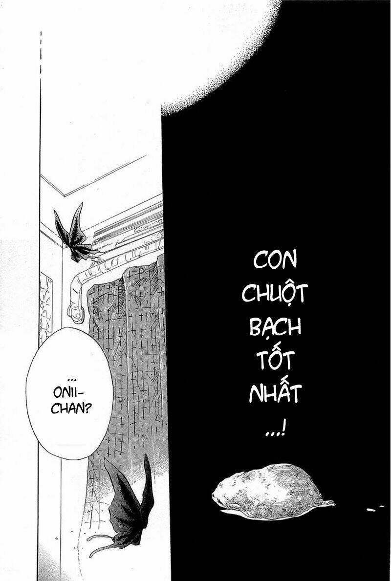 Pupa: Chapter 4