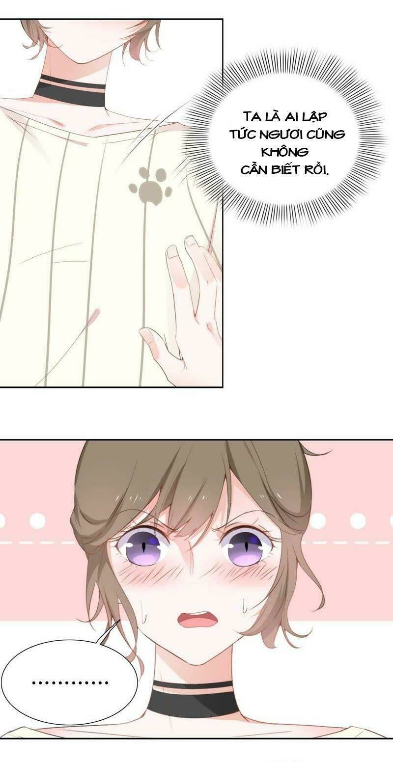 Thập Nhị Hắc Miêu: Chapter 2