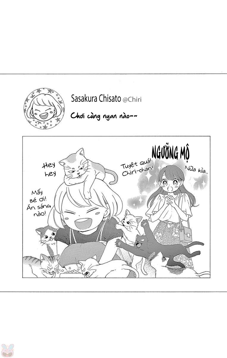 Từ Chối Kết Hôn Với Đại Gia: Cô Dâu Bỏ Trốn: Chapter 18