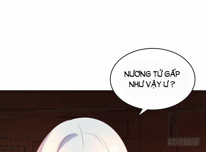 Đô đốc đại nhân sủng thê kí: Chapter 13.2