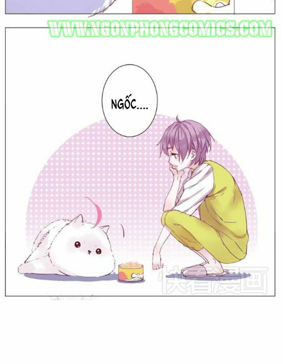 Đừng Nghịch, Ta Chỉ Muốn Yên Tĩnh: Chapter 1