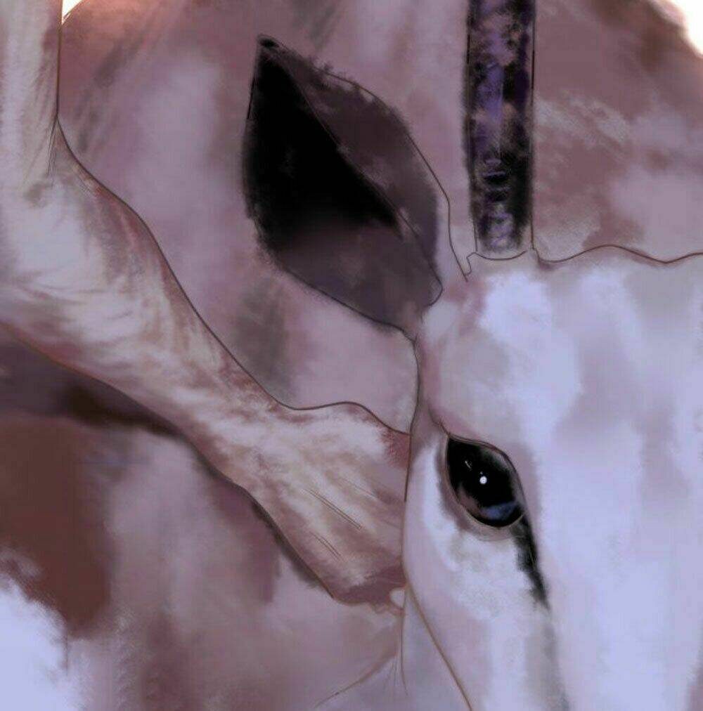 Tháng Sáu Không Hẹn Mà Gặp: Chapter 13