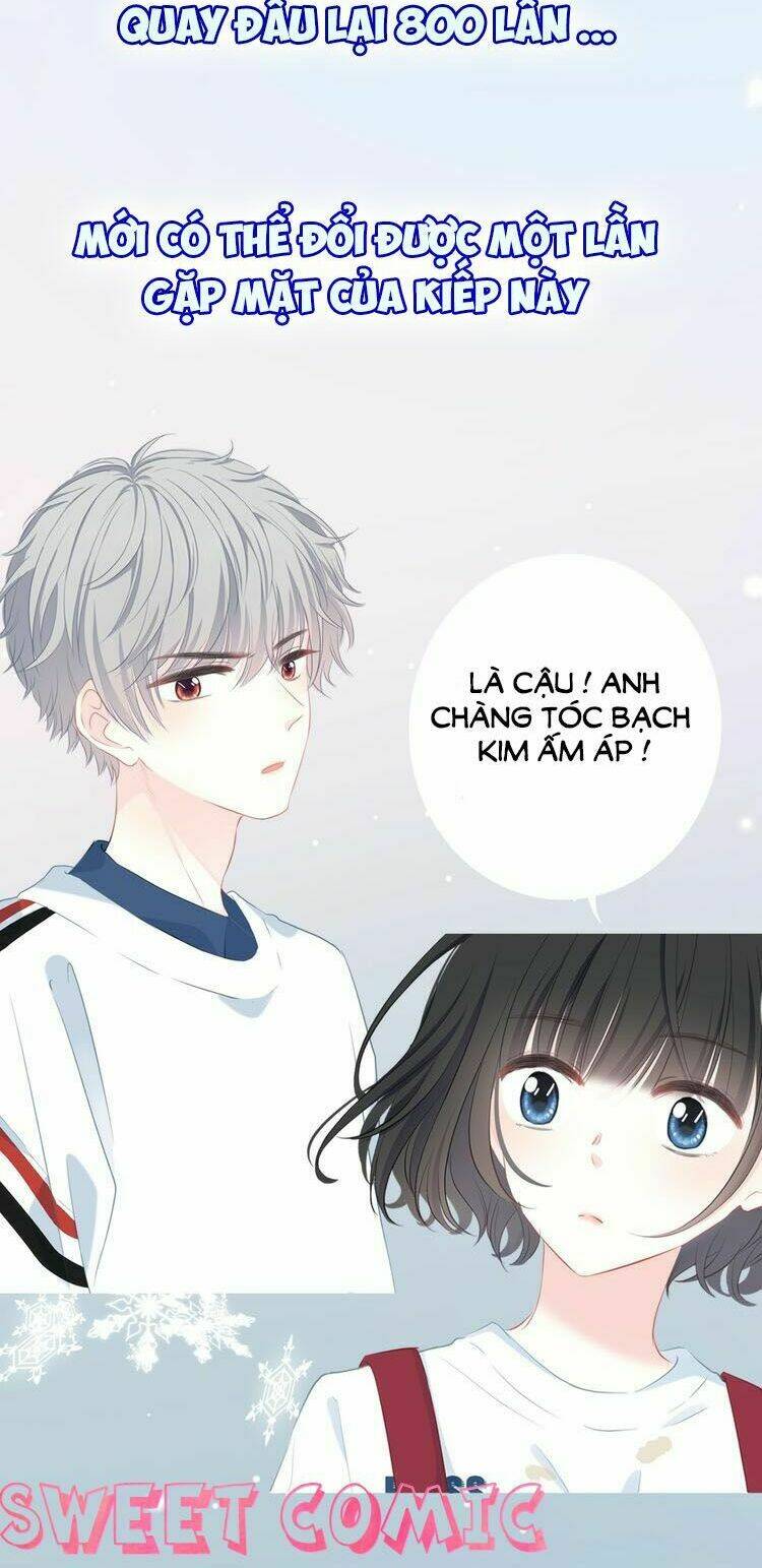 Vấp Phải Nghịch Quang: Chapter 0