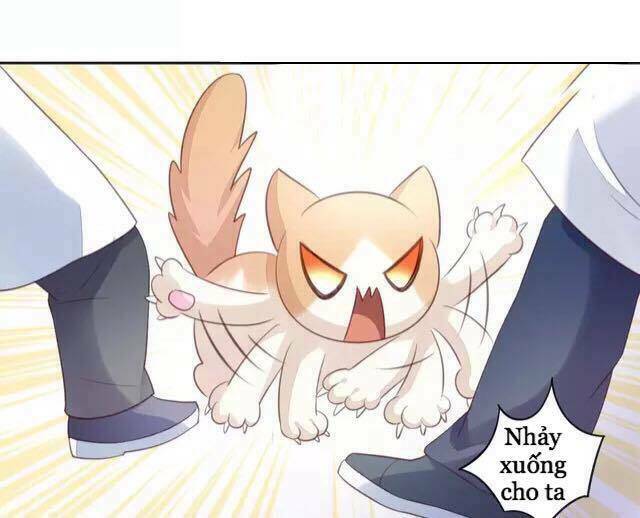 Dưới Móng Vuốt Mèo: Chapter 15