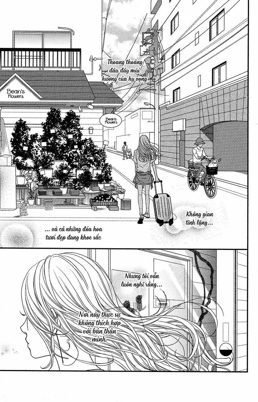 Đóa Hoa Năm Ấy: Chapter 1