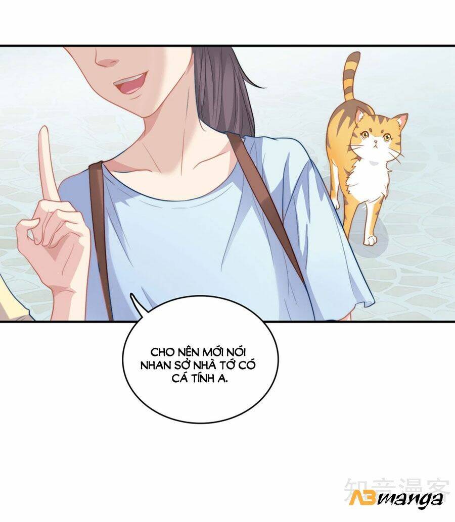 Hẹn Hò Siêu Tốc: Chapter 1