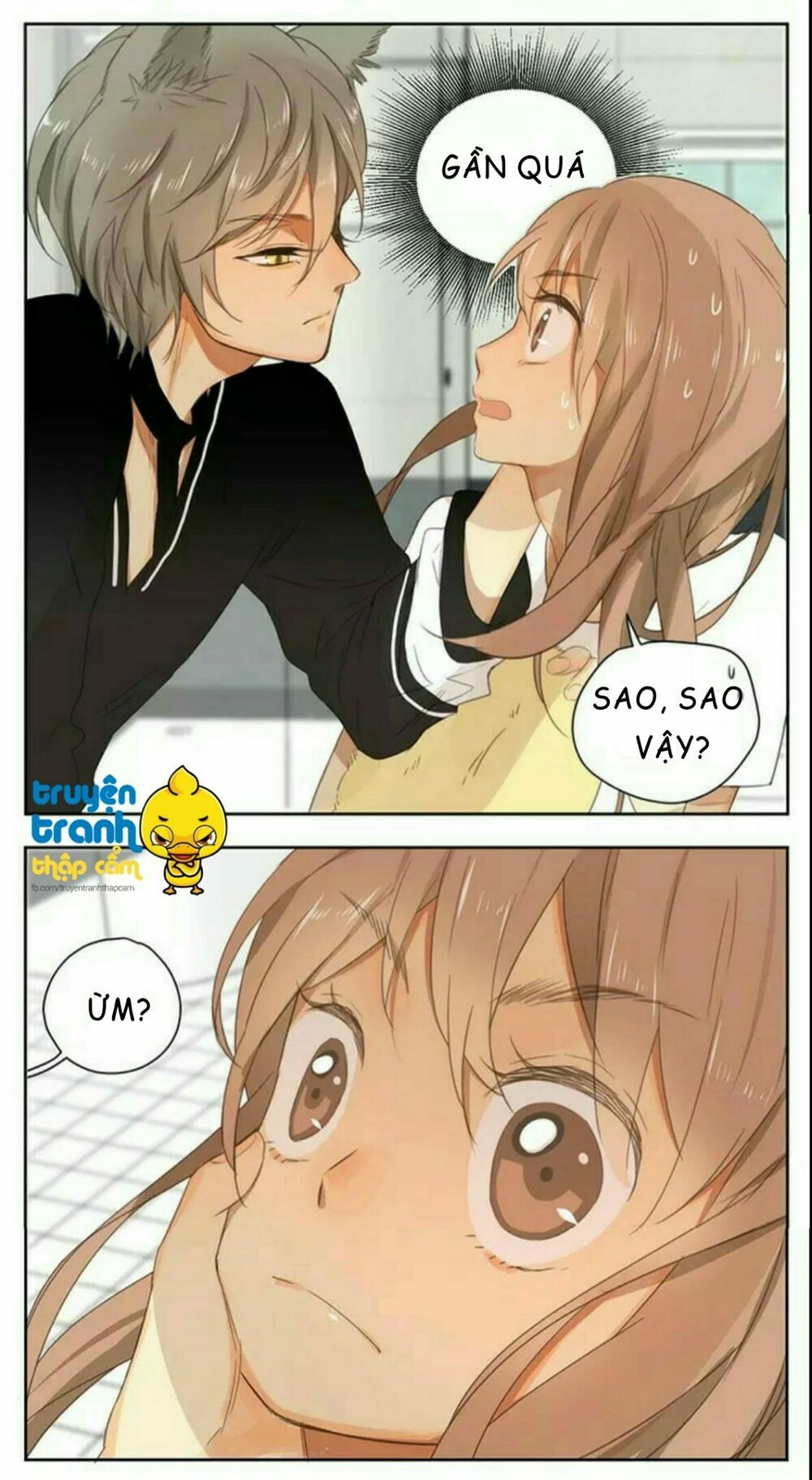 Cứu mạng ! Loài mèo thống trị thế giới rồi !: Chapter 36