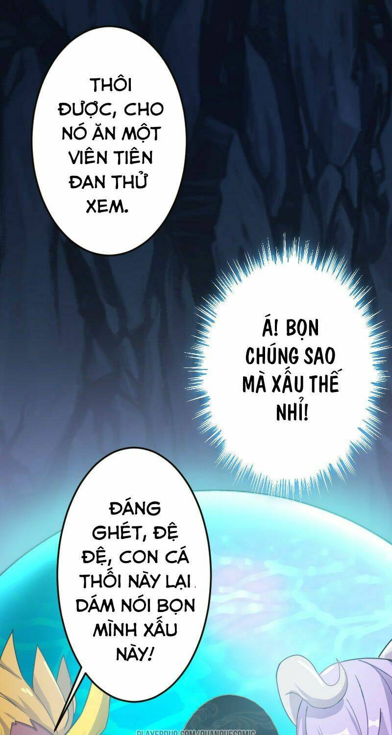 Khởi Đầu Bằng Một Con Côn: Chapter 1