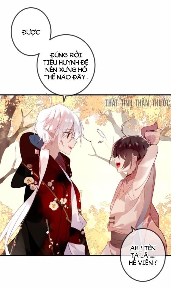 Ngô hoàng tại thượng: Chapter 31