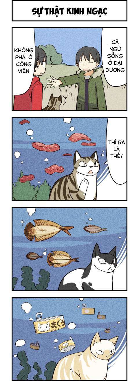 We Are Cat: Chapter 16