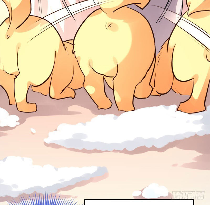 Lụ Đạn, Hôm Nay Lại Cũng Không Thể Biến Thành Người Được: Chapter 2