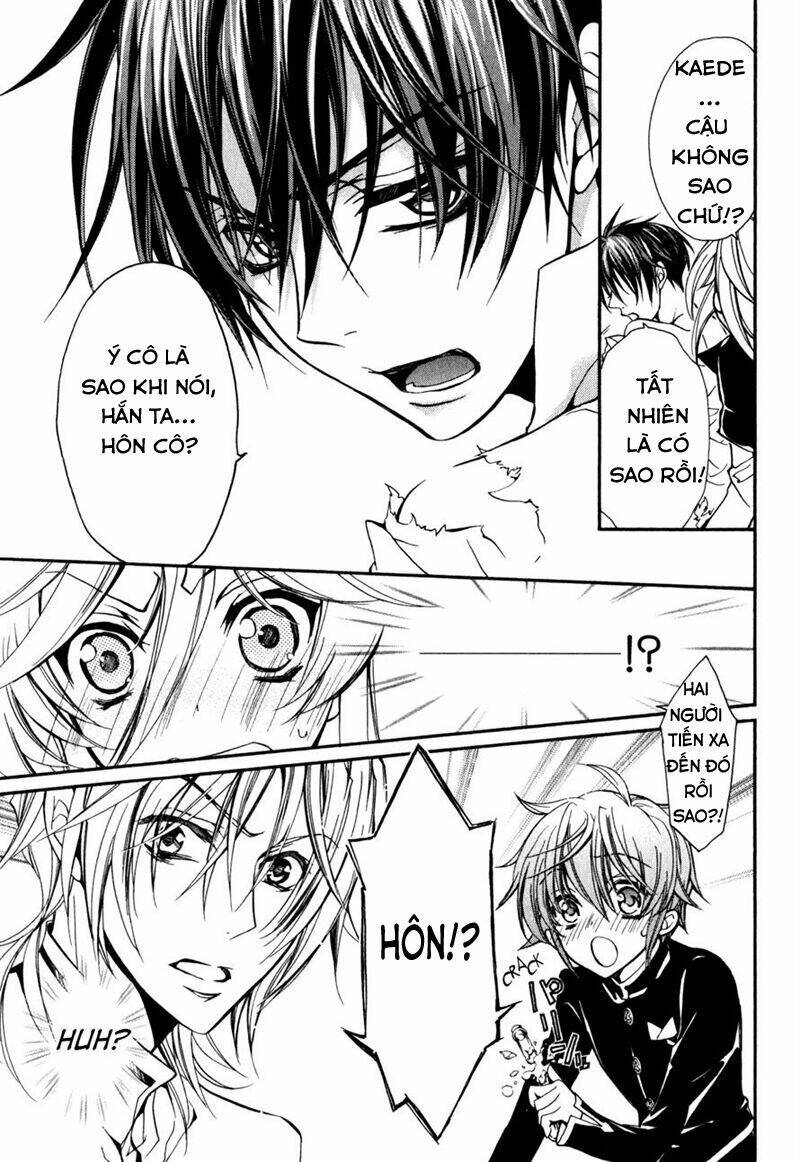 Nụ Hôn Của Công Chúa Tường Vi: Chapter 31