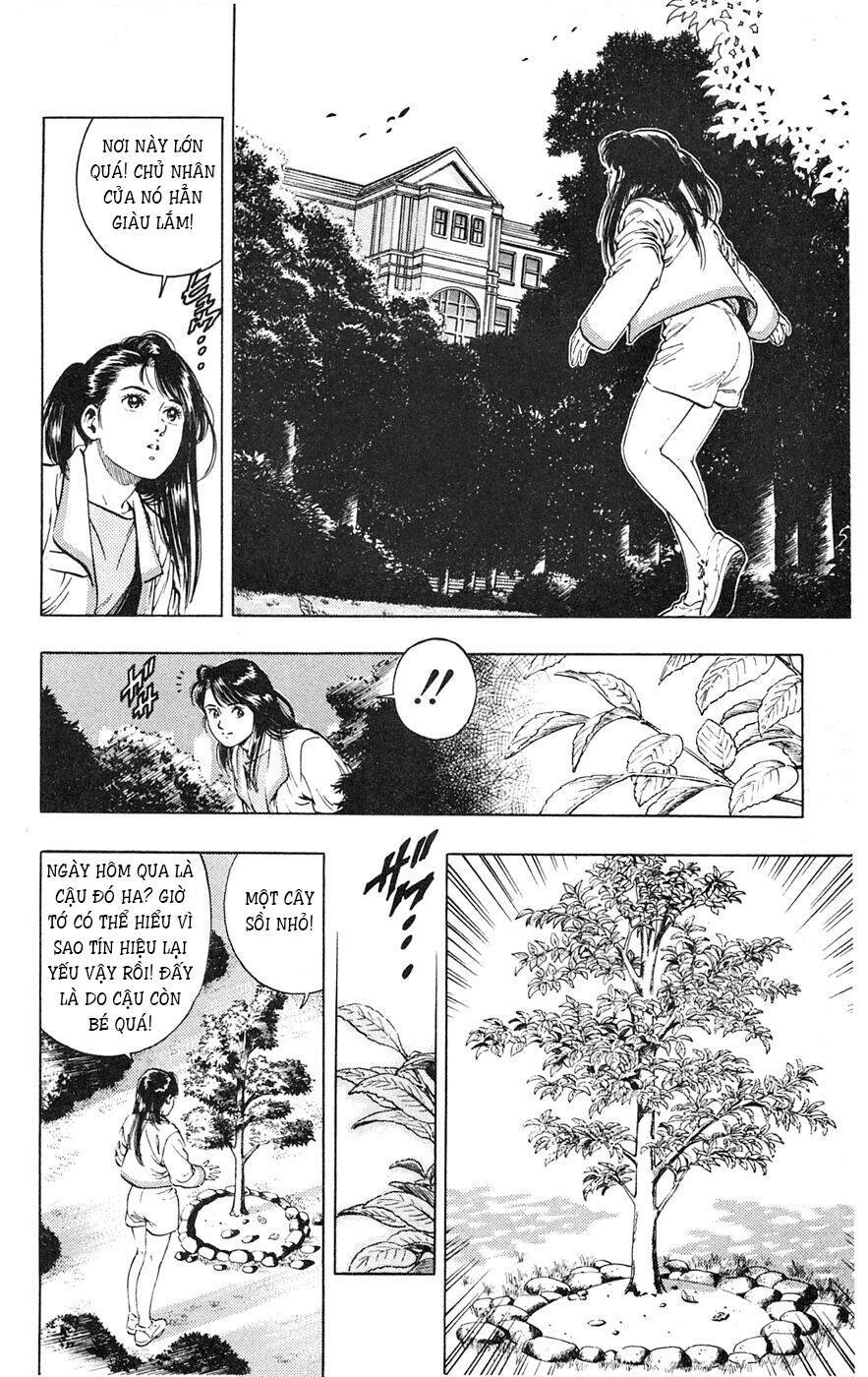 Cô Bé Mặt Trời: Chapter 15