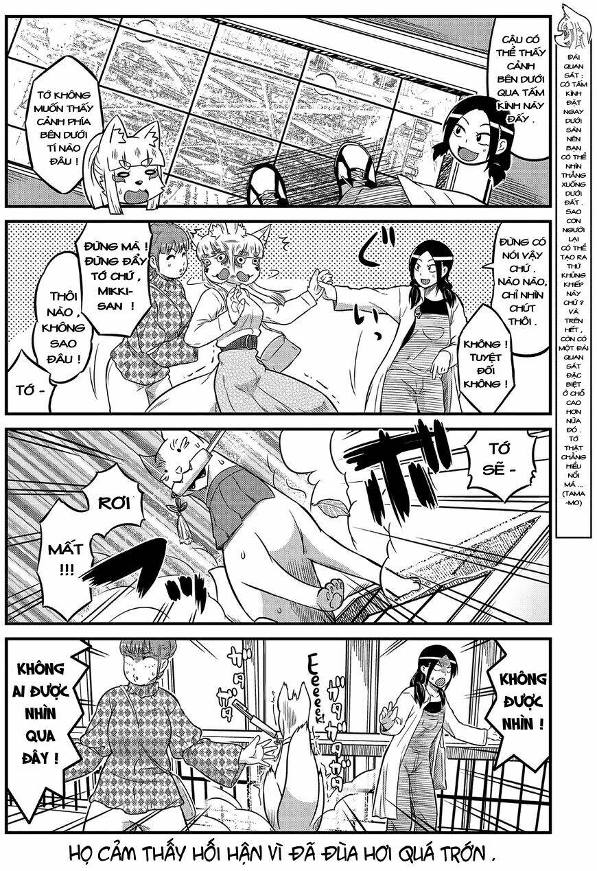 High School Inari Tamamo-Chan: Chapter 9