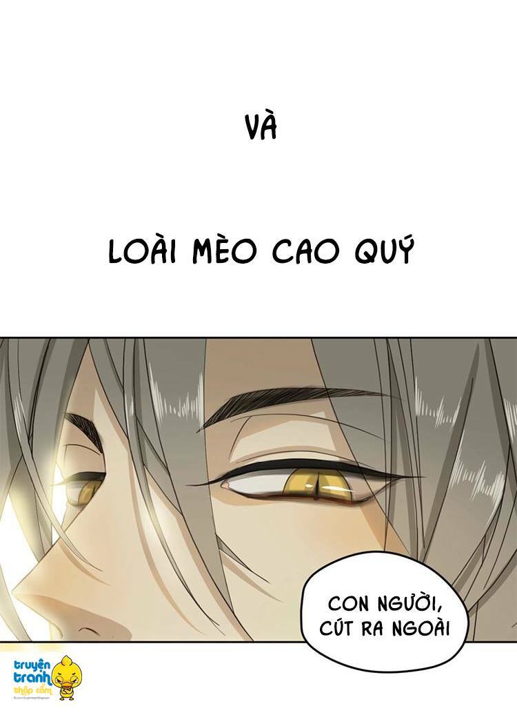 Cứu mạng ! Loài mèo thống trị thế giới rồi !: Chapter 1