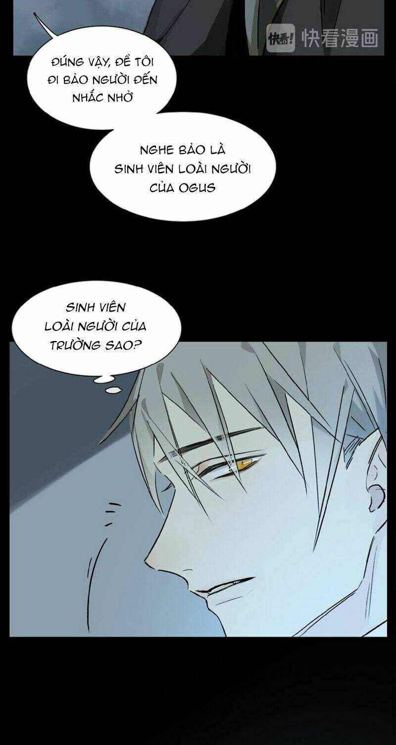 Phép Tắc Trường Ogus: Chapter 31