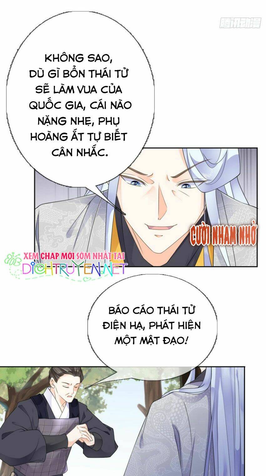 Tang Lạc Túy Tại Nam Phong Lý: Chapter 36