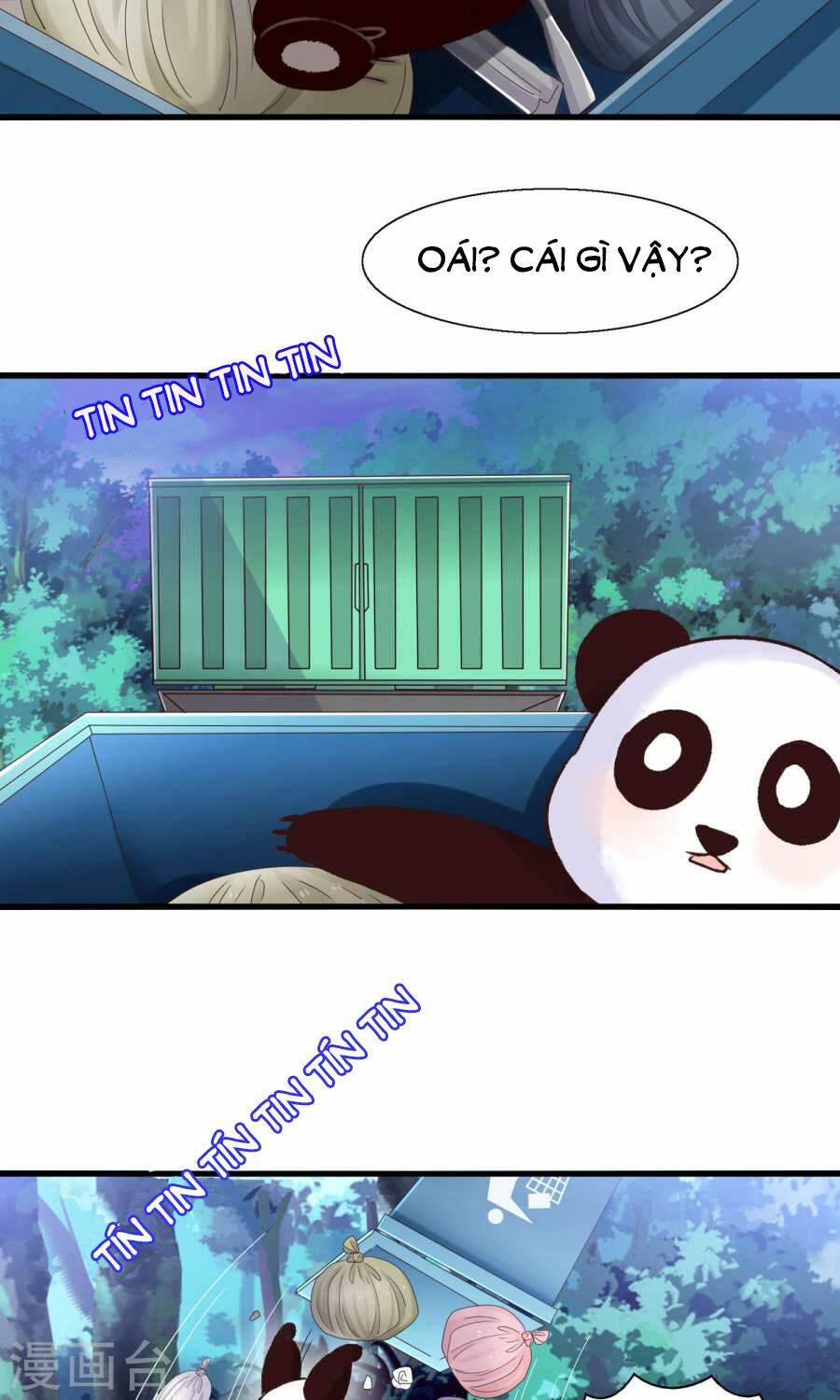 Tôi Bị Gấu Trúc Nhìn Trúng Rồi: Chapter 11